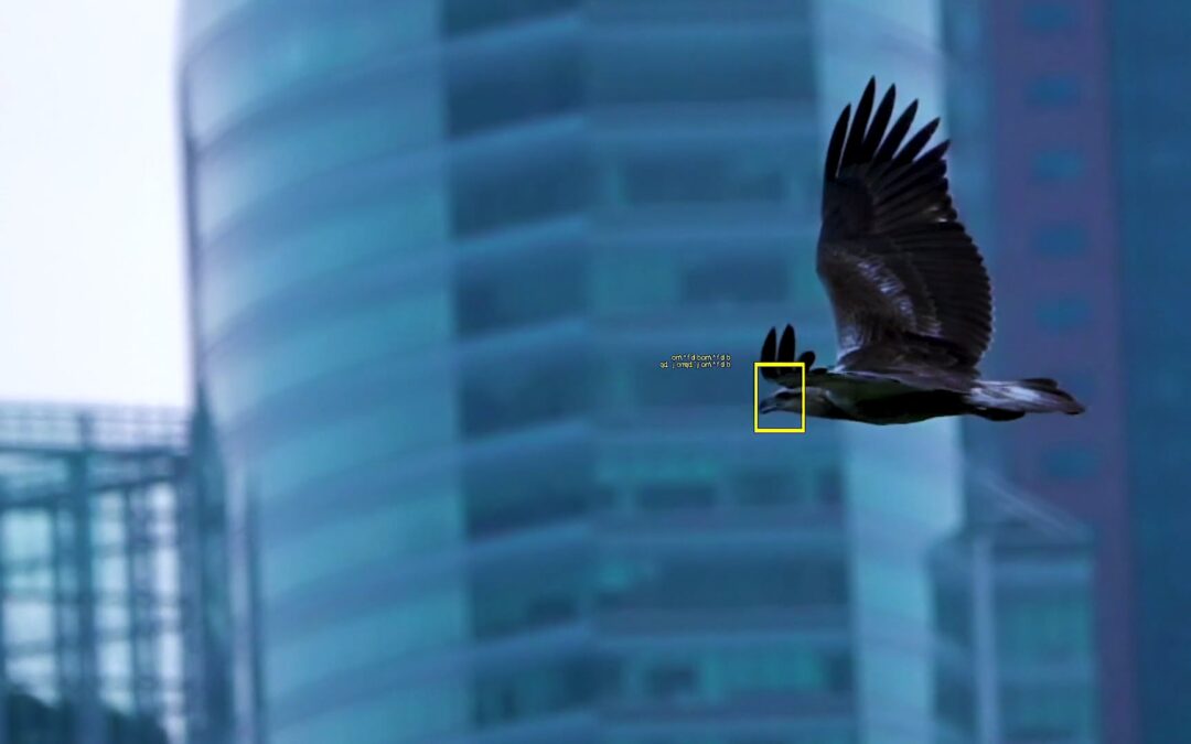 Video tracking: wat is het?
